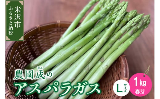 《 先行予約 》【 令和7年産 春芽 】 アスパラガス L 1kg （ 太物 L以上 ）〔 2025年 5月中旬頃 ～ 発送予定 〕 アスパラ 野菜 農園成 産地直送 農家直送 2025年産 1325472 - 山形県米沢市