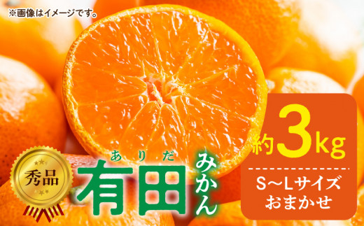 DZ6009n_12_【2025年12月発送】【ふるさと納税】秀品 有田みかん 和歌山県産 S～Lサイズ 容量 約3kg【ミカン 蜜柑 柑橘 温州みかん 和歌山 有田】