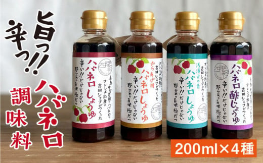 ハバネロ 調味料 200ml 4本セット《糸島》【シェフのごはんやさん四季彩】【いとしまごころ】[ACC008] 398002 - 福岡県糸島市