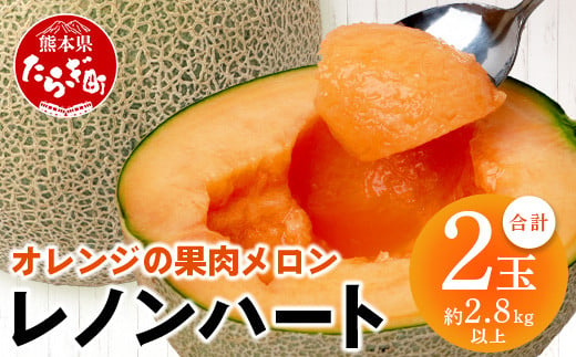 【 2025年4月下旬 発送開始 】 先行予約 オレンジの果肉メロン「 レノンハート 」 2玉  (合計約2.8kg以上)【 令和7年 予約 先行 先行予約 高糖度 めろん なめらかな果肉 果物 贈り物に 】 013-0559-2025
