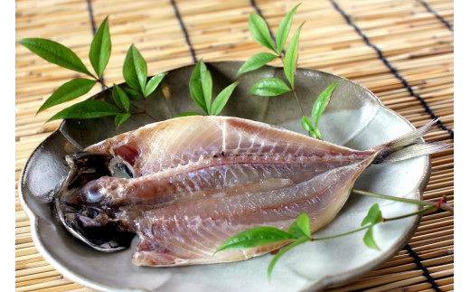 山陰浜田 創業大正10年香住屋のこだわり干物「どんちっちあじ一夜干し」 魚介類 干物 おつまみ おかず あじ 一夜干し 【024_1992】