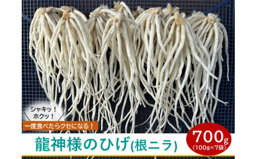 【 期間限定 (2025年3月10日まで受付) 】龍神様のひげ  ( 根ニラ )  700g (100g×7袋) ／ 株式会社 すわファーム 野菜 香味野菜 根菜 無農薬 高原野菜【91-01】 1403519 - 長野県諏訪市