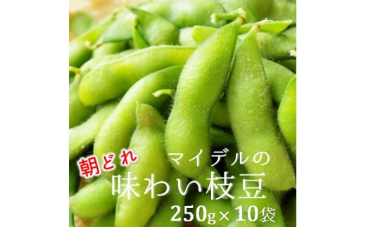 道の駅マイデルの味わい枝豆（250g×10袋）※8月～9月配送 2013919 - 山形県三川町