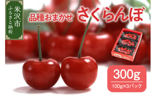 《 先行予約 》 令和7年産 さくらんぼ 300g ( 100g × 3パック ) 品種おまかせ ( 佐藤錦 紅秀峰 紅てまり 大将錦 いずれか ) 2025年産 1320821 - 山形県米沢市