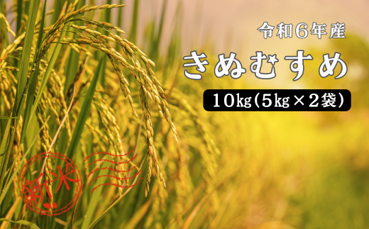 150252【令和6年産】しまね川本きぬむすめ10kg(5kg×2) 1455906 - 島根県川本町