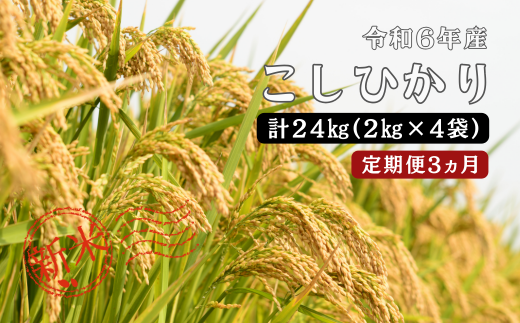 150258【令和6年産／お米定期便／3ヵ月】しまね川本 こしひかり 2kg×4袋 (計24kg） 1455903 - 島根県川本町