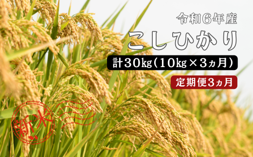 150264【令和6年産／お米定期便／3ヵ月】しまね川本 こしひかり 10kg (計30kg） 1455897 - 島根県川本町