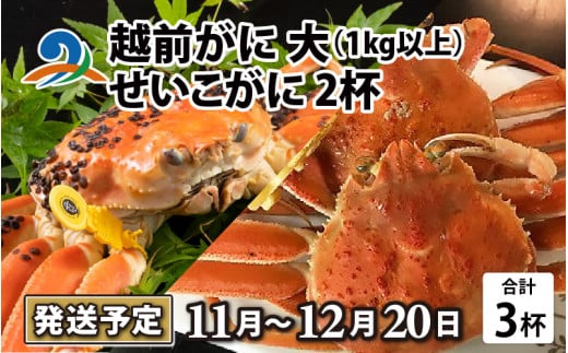 越前がに 大 （1kg以上） 1杯 ・せいこがに 2杯 720966 - 福井県南越前町