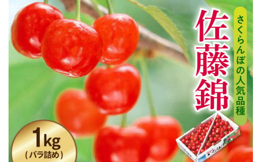 《 先行予約 》 令和7年産 さくらんぼ 佐藤錦 1kg （ バラ詰め ）〔 R7年 6月中旬 ～ 下旬頃 お届け 〕 2025年産 1321651 - 山形県米沢市