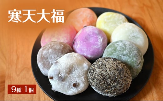 寒天大福 9種1個 詰め合わせ セット 大福 餅 大福餅 菓子 和菓子 冷凍 長野 [№5312-1098]