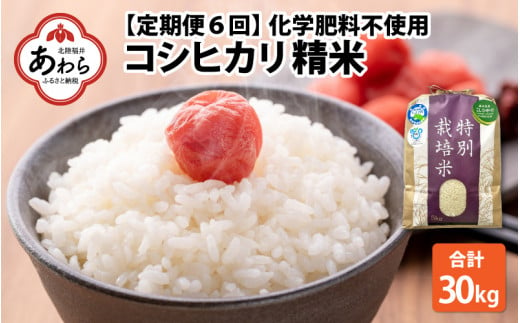 【令和6年産 新米】【定期便６回】 化学肥料不使用コシヒカリ 精米 5kg×6回 （計30kg）/ 白米 米 福井県あわら市産 美味しい 特別栽培米 減農薬 安心な米 旨味 甘み もっちり エコファーマー こしひかり 冷蔵保管米 415368 - 福井県あわら市