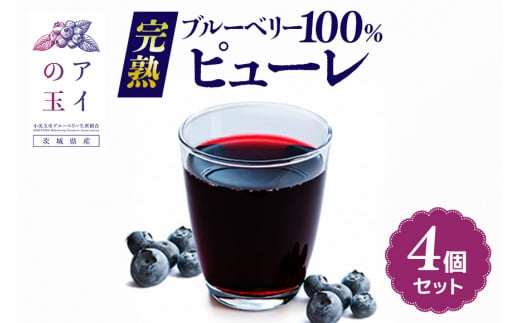【アイの玉】完熟ブルーベリー100％ピューレ（4個セット） ピューレ ブルーベリー フルーツ 果物 くだもの 手作り 無糖 ヘルシー 73-F
