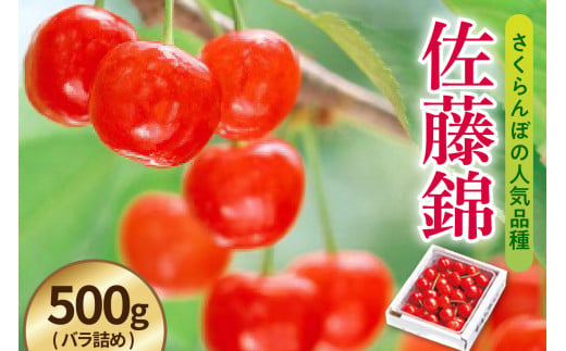 《 先行予約 》 令和7年産 さくらんぼ 佐藤錦 500g （ バラ詰め ）〔 R7年 6月中旬 ～下旬頃 お届け 〕 2025年産 1321650 - 山形県米沢市