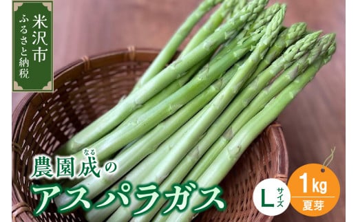 《 先行予約 》【 令和7年産 夏芽 】 アスパラガス L 1kg （ 太物 L以上 ）〔 2025年 7月中旬頃 ～ 発送予定 〕 アスパラ 野菜 農園成 産地直送 農家直送 2025年産 1325473 - 山形県米沢市