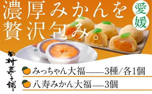 みっちゃん大福（温州みかん、灘オレンジ、岬まどんな）各種1個・八寿みかん大福3個セット 1396478 - 愛媛県伊方町