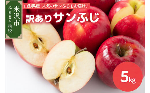 山形県米沢市のふるさと納税 《 先行予約 》【 令和6年産 】 訳あり りんご ( サンふじ )　5kg 〔 2024年11月中下旬頃 ～ お届け 〕 家庭用 キズ等 2024年産