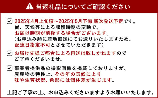 【先行受付】訳あり 不知火 でこ姫 約5kg（約18～25玉）【吉田レモニー 】