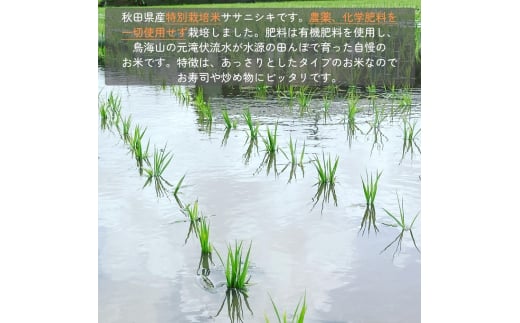 令和6年産新米予約】栽培期間中 農薬・化学肥料不使用【無洗米】特別栽培米ササニシキ2kg×1 - 秋田県にかほ市｜ふるさとチョイス -  ふるさと納税サイト