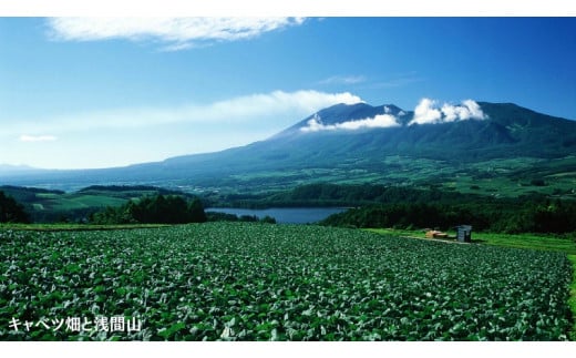 群馬県嬬恋村のふるさと納税 嬬恋村 で使える 感謝券30,000円分 (30枚) 観光 旅行券 宿泊券 旅行 温泉 温泉 ペンション ホテル 旅館 トラベル 父の日 母の日 敬老の日 万座温泉 万座 浅間高原 鹿沢 バラギ 北軽井沢 エリア 関東 30000円 クーポン チケット 国内旅行 お泊り 日帰り 観光地応援 [AO007tu]