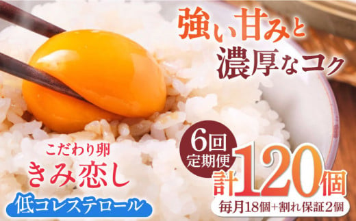 【6回定期便】きみ恋し 箱入り 20個（18個+割れ保証2個）×6ヶ月　総計120個 たまご 卵 玉子 タマゴ 鶏卵 濃厚 玉子焼き 卵焼き オムレツ たまごかけご飯 冷蔵 広川町 / 伊藤養鶏場 [AFAJ006] 1251021 - 福岡県広川町