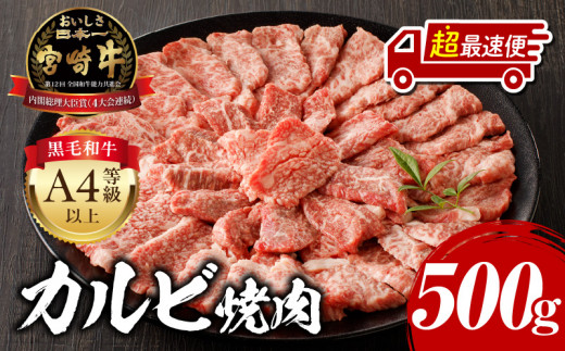 【超最速便】宮崎牛カルビ焼肉用500g_M243-004-1W