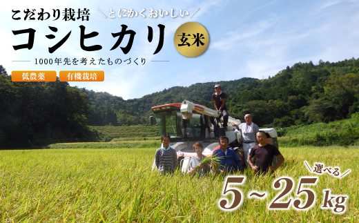 京都府産 低農薬 有機栽培コシヒカリ玄米 選べる 容量 5kg〜 25kg ( 11,000円 〜 55,000円 ) [ 米 5kg 10kg 15kg 20kg 25kg 玄米 こめ コメ お米 おこめ こしひかり 食物繊維 栄養 真空パック 井上吉夫 米農家 有機栽培米 有機栽培 農家直送 減農薬 綾部市 京都府 ]