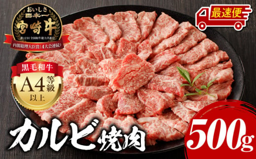 【最速便】宮崎牛カルビ焼肉用500g_M243-004-2W 1318328 - 宮崎県宮崎市