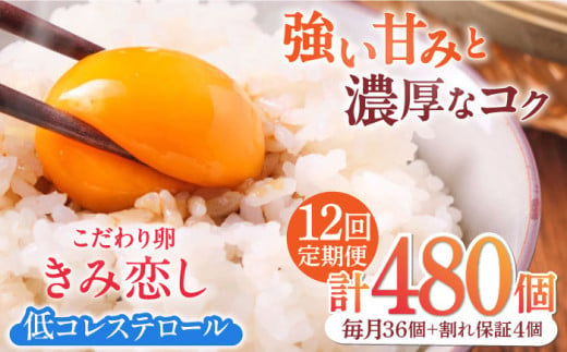 【12回定期便】きみ恋し 箱入り 40個（36個+割れ保証4個）×12ヶ月　総計480個 たまご 卵 玉子 タマゴ 鶏卵 濃厚 玉子焼き 卵焼き オムレツ たまごかけご飯 冷蔵 広川町 / 伊藤養鶏場 [AFAJ009] 1251024 - 福岡県広川町