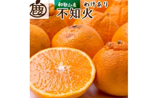 ＜先行予約＞家庭用 不知火 4kg+150g（傷み補償分）【デコポンと同品種・人気の春みかん】【訳あり】＜2月より発送＞ ※北海道・沖縄・離島への配送不可 フルーツ 果物 くだもの 柑橘 和歌山【ikd163A】 1526923 - 和歌山県すさみ町