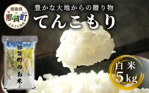 令和6年産 新米 先行受付」 那賀町相生産 てんこもり 白米 5kg 1袋 「2024年10月上旬より発送」 【徳島 那賀 国産 徳島県産 特A  ブランド米 お米 こめ おこめ 米 ご飯 ごはん 白ご飯 白米 5キロ 和食 おにぎり お弁当 白米 精米 おいしい 食べて応援 お取り寄せ