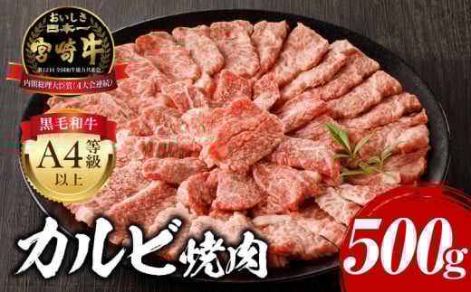 【2025年7月発送】宮崎牛カルビ焼肉用500g_M243-004-jul 1306870 - 宮崎県宮崎市