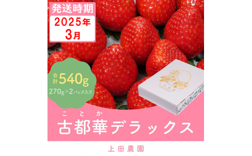 （冷蔵）【３月発送分】イチゴ 奈良県産高級ブランド品種「古都華」デラックス（270g×２パック） ／ 上田農園 苺 いちご フルーツ 奈良県 田原本町 1097212 - 奈良県田原本町