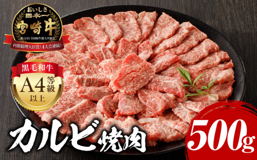 【10月発送】宮崎牛カルビ焼肉用500g_M243-004-oct
