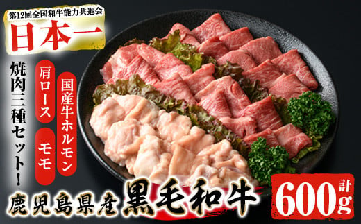 鹿児島県産黒毛和牛の焼き肉セット(和牛ロース肉、モモ肉、国産牛ホルモン 各200g 計600g) 黒毛和牛 焼き肉 冷凍【ナンチク】A-6