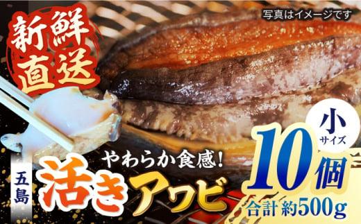 【日付指定必須】【配送エリア限定】五島産養殖活きアワビ 10個セット 約500g BBQ あわび 鮑 五島市/（有）都工業 [PEX003] 1397582 - 長崎県五島市