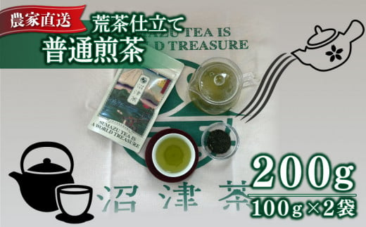 普通 煎茶 100g 2袋 合計200g 2024年産 農家直送 お茶 茶葉 静岡 沼津 562692 - 静岡県沼津市