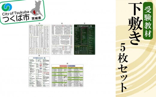 受験教材下敷き　5枚セット【下敷き 文房具 教材 ツール 高校受験 暗記 記憶 視覚 勉強 学習 受験 テスト 試験 隙間時間 中学生 理科 国語 数学 歴史 英語 5教科 セット フライング・エッグ 人気 おすすめ】 1147912 - 茨城県つくば市