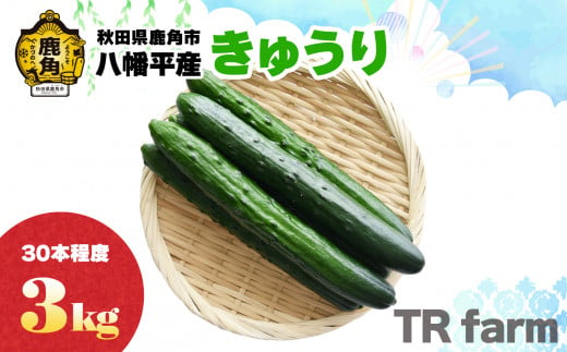 秋田県鹿角市八幡平産 きゅうり 3kg（30本程度）【TR farm】キュウリ 胡瓜 野菜 夏野菜 新鮮 旬 食べ頃 詰め合わせ お中元 お取り寄せ グルメ ギフト 人気 おすすめ 秋田 鹿角市 送料無料  982754 - 秋田県鹿角市