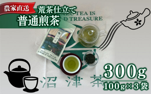 普通煎茶 100g 3袋 合計300g 普通 煎茶 2024年産 農家直送 お茶 茶葉 静岡 沼津 562690 - 静岡県沼津市