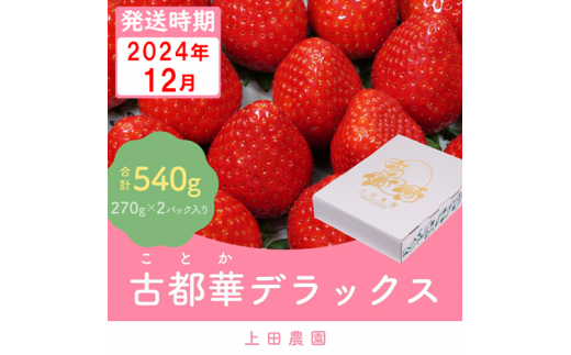 （冷蔵）【１２月発送分】イチゴ 奈良県産高級ブランド品種「古都華」デラックス（270g×２パック） ／ 上田農園 苺 いちご フルーツ 奈良県 田原本町 1096884 - 奈良県田原本町