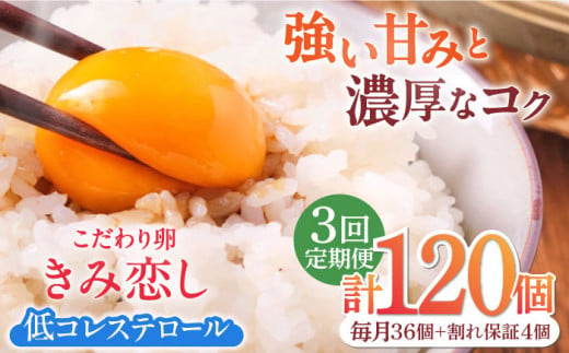 【3回定期便】きみ恋し 箱入り 40個（36個+割れ保証4個）×3ヶ月　総計120個 たまご 卵 玉子 タマゴ 鶏卵 濃厚 玉子焼き 卵焼き オムレツ たまごかけご飯 冷蔵 広川町 / 伊藤養鶏場 [AFAJ001] 1251016 - 福岡県広川町