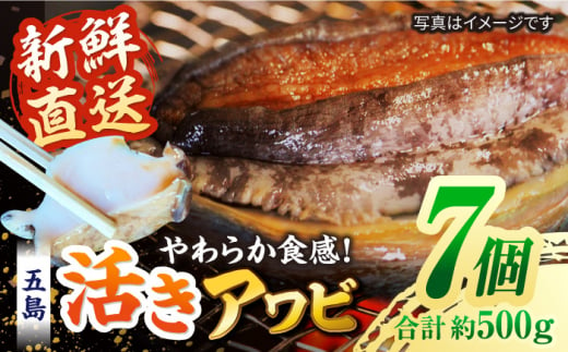 【日付指定必須】【配送エリア限定】五島産養殖活きアワビ 7個セット 約500g あわび 鮑 五島市/（有）都工業 [PEX004] 1397583 - 長崎県五島市