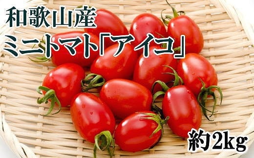 【2025年6月出荷分】和歌山産ミニトマト「アイコトマト」約2kg（S・Mサイズおまかせ）【TM166】 762215 - 和歌山県和歌山市