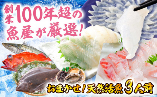 天然活魚おまかせセット