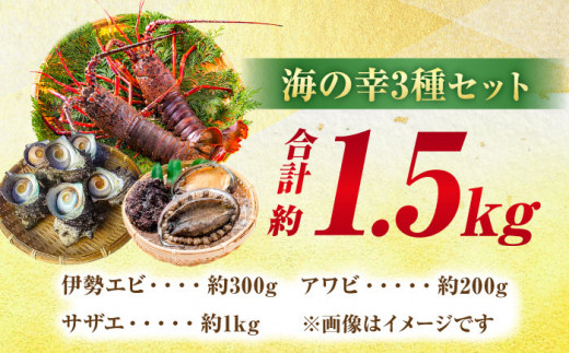 老舗鮮魚店の厳選！豪華天然魚介3種セット！（イセエビ約300ｇ・アワビ約200g・サザエ約1kg）