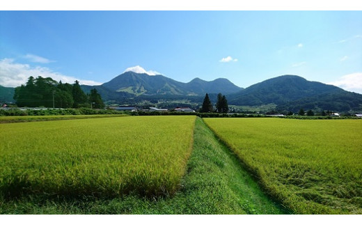 長野県木島平村のふるさと納税 【特別栽培米】【低アミロース米】木島平産ミルキークィーン（(株)岳農）5kg | 米 特別栽培米 低アミロース米 ミルキークィーン 長野県 木島平村 信州