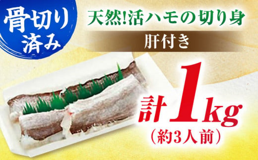 身から肝まですべて堪能！熟練の技で食べやすい！活きハモの骨切り 3人前（約1kg）　はも 鱧 蒲焼 湯引き 魚介類