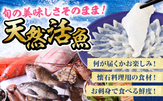 天然活魚おまかせセット