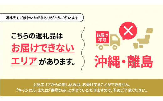 青森県田子町のふるさと納税 12月 田子の贈答用千雪約5kg（18～20玉程度）山市美貴子さん生産直送