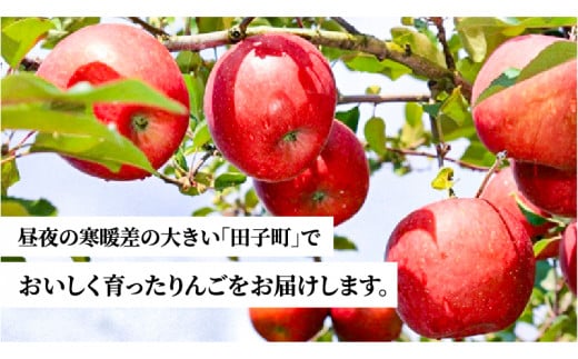 青森県田子町のふるさと納税 12月 田子の贈答用千雪約5kg（18～20玉程度）山市美貴子さん生産直送